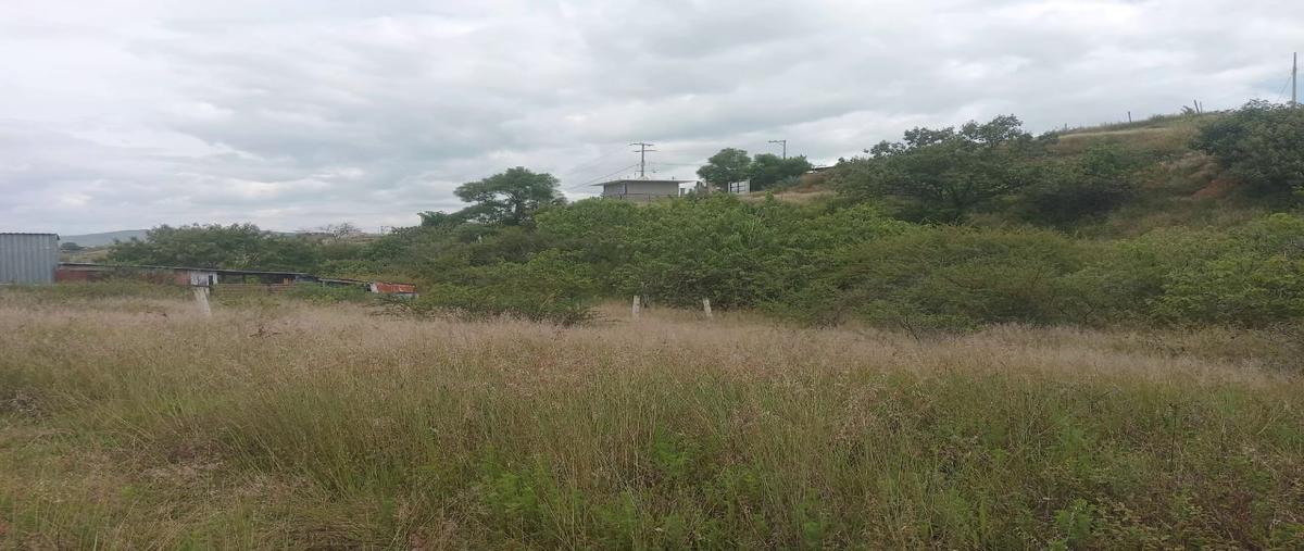 Foto de terreno habitacional en venta en paraje el temblor , oaxaca centro, oaxaca de juárez, oaxaca, 30399561 No. 05