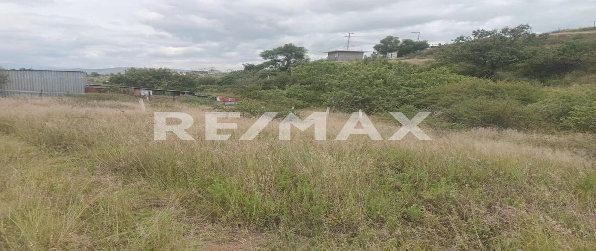 Foto de terreno habitacional en paraje el temblor , san jacinto amilpas, san jacinto amilpas, oaxaca, 0 foto 03 Foto de terreno habitacional en venta en paraje el temblor , san jacinto amilpas, san jacinto amilpas, oaxaca, 0 No. 03