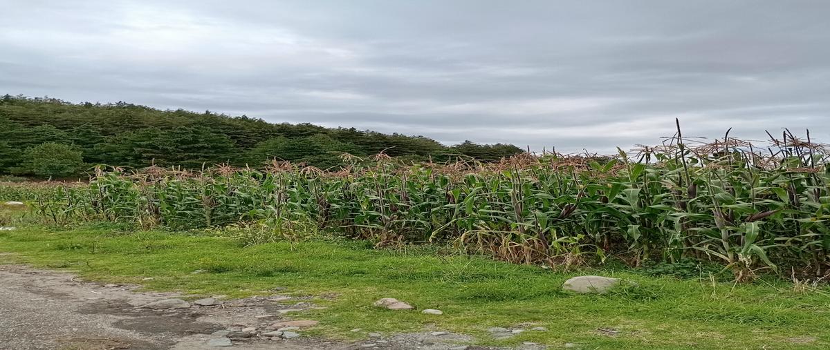 Foto de terreno habitacional en venta en paraje el vivero , santiago tlacotepec, toluca, méxico, 0 No. 05