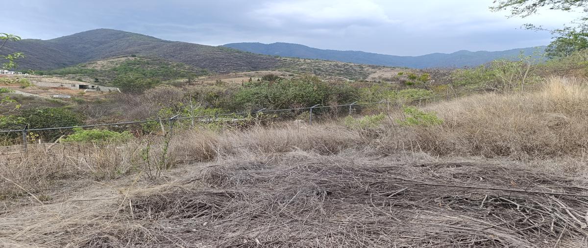 Foto de terreno habitacional en venta en paraje guig tam lli , san andres huayapam, san andrés huayápam, oaxaca, 31344072 No. 03