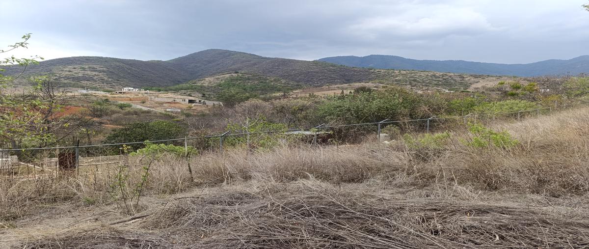 Foto de terreno habitacional en venta en paraje guig tam lli , san andres huayapam, san andrés huayápam, oaxaca, 31344072 No. 04