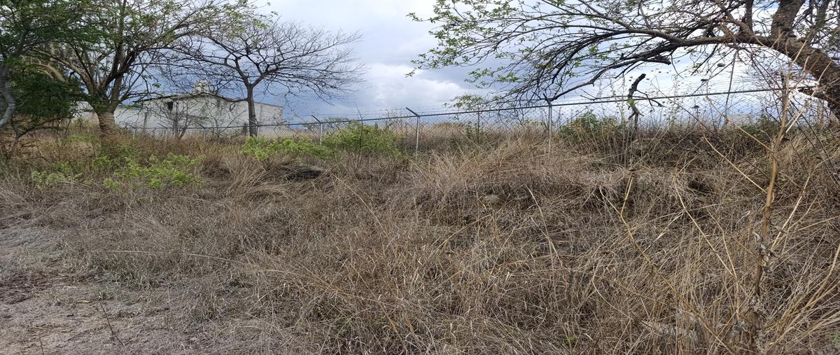 Foto de terreno habitacional en venta en paraje guig tam lli , san andres huayapam, san andrés huayápam, oaxaca, 31344072 No. 05