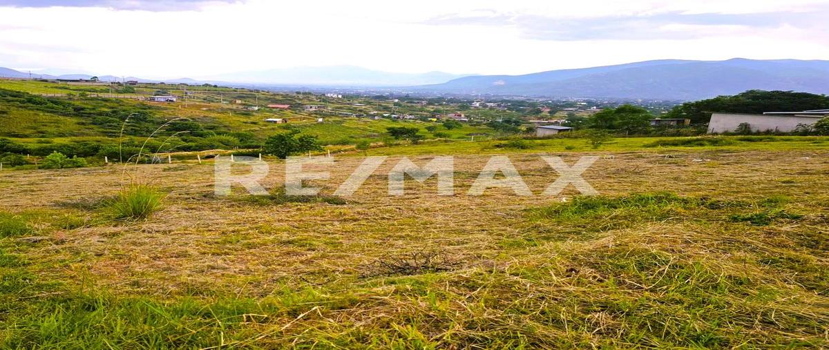 Foto de terreno habitacional en venta en paraje la loma la carroza lote 2 , san andres huayapam, san andrés huayápam, oaxaca, 30343951 No. 03