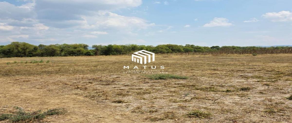 Foto de terreno habitacional en venta en  , paraje la tortuga, ánimas trujano, oaxaca, 0 No. 03