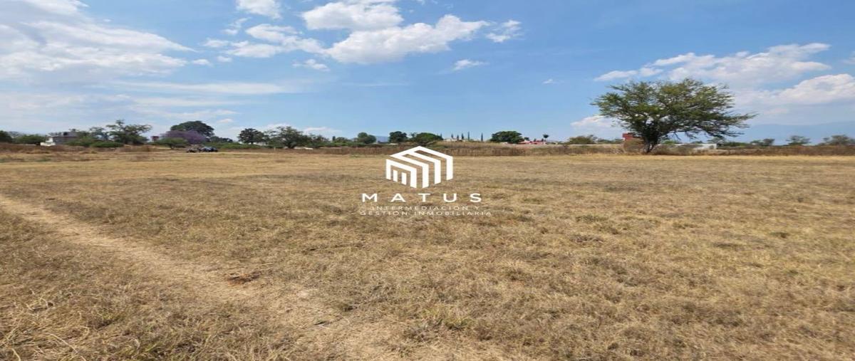 Foto de terreno habitacional en venta en  , paraje la tortuga, ánimas trujano, oaxaca, 0 No. 05