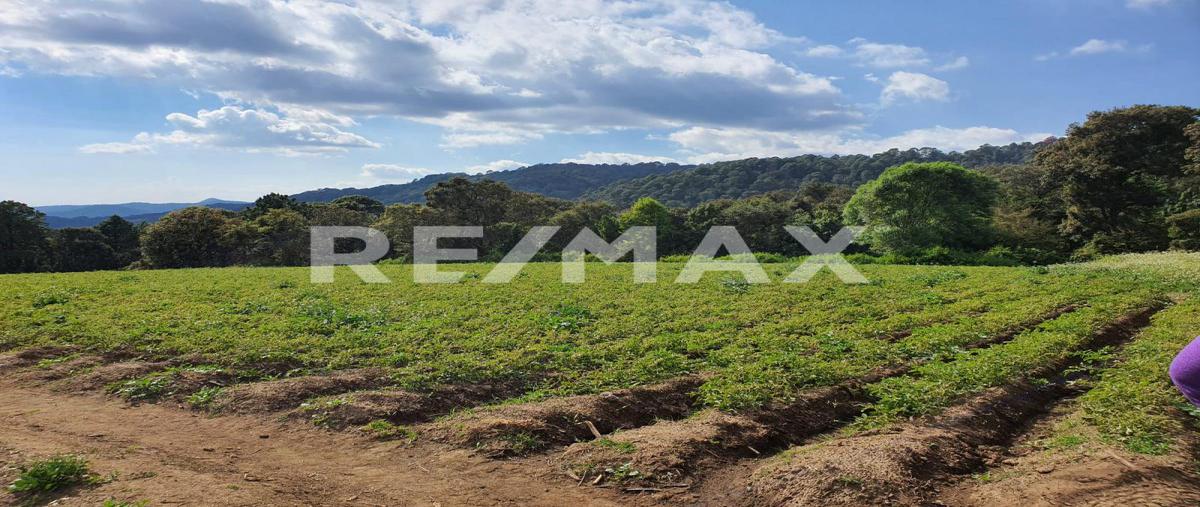 Foto de terreno habitacional en venta en paraje mesa de dolores , mesas de dolores, valle de bravo, méxico, 0 No. 03