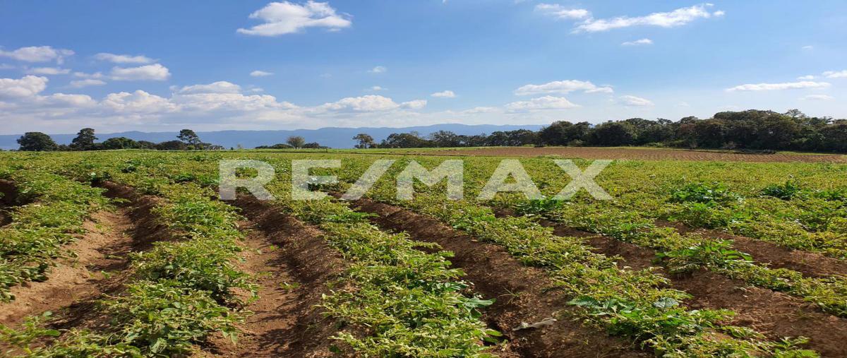 Foto de terreno habitacional en venta en paraje mesa de dolores , mesas de dolores, valle de bravo, méxico, 0 No. 04