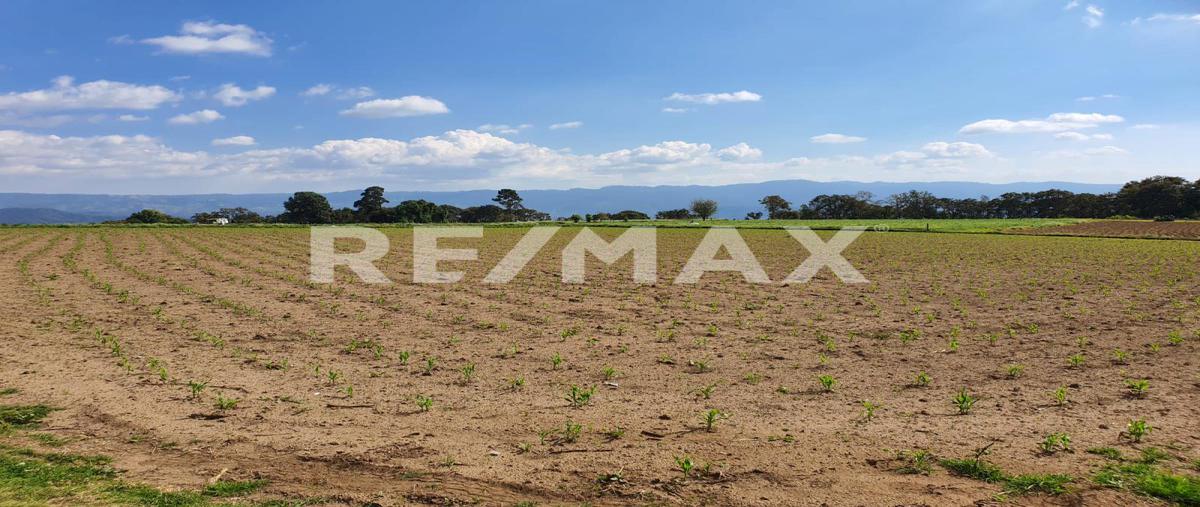 Foto de terreno habitacional en venta en paraje mesa de dolores , mesas de dolores, valle de bravo, méxico, 0 No. 05