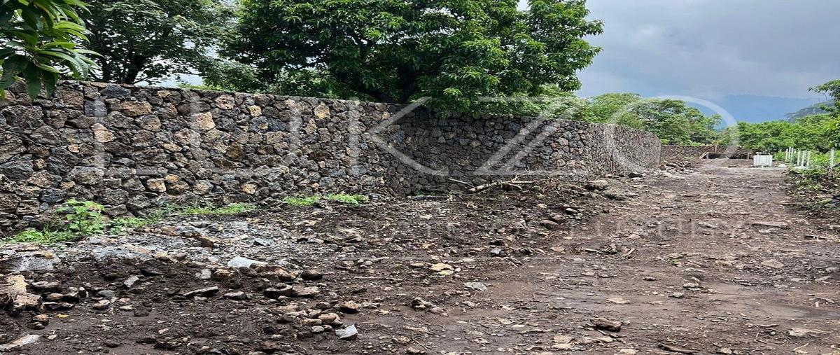 Foto de terreno habitacional en venta en paraje nexehuaca , santo domingo ocotitlán, tepoztlán, morelos, 0 No. 05