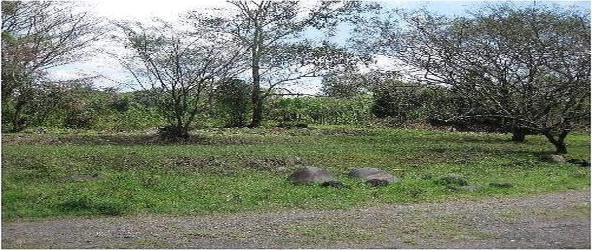 Foto de terreno comercial en venta en  , paraje nuevo centro, amatlán de los reyes, veracruz de ignacio de la llave, 0 No. 03