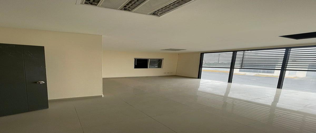 Foto de bodega en renta en  , paraje santa rosa sector norte, apodaca, nuevo león, 0 No. 04