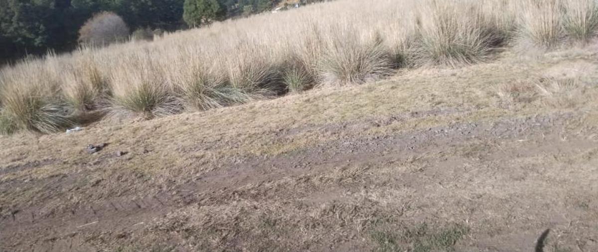 Foto de terreno habitacional en venta en paraje tzintlantecuruz , villa de san nicolás coatepec de las bateas, tianguistenco, méxico, 0 No. 03