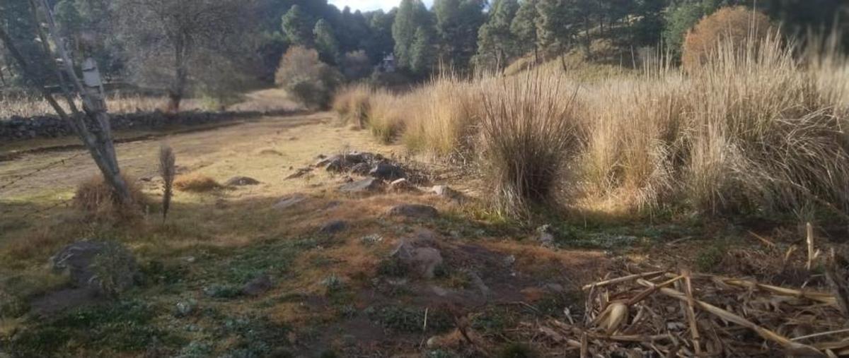 Foto de terreno habitacional en venta en paraje tzintlantecuruz , villa de san nicolás coatepec de las bateas, tianguistenco, méxico, 0 No. 04