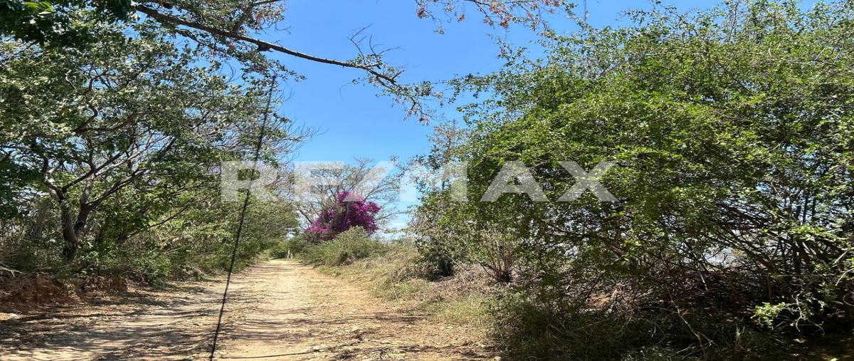 Foto de terreno habitacional en venta en paraje viluache , zimatlan de alvarez centro, zimatlán de álvarez, oaxaca, 0 No. 03
