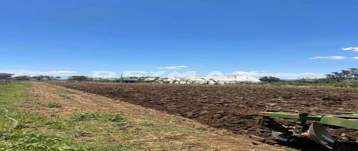 Foto de terreno habitacional en venta en paraje viluache , zimatlan de alvarez centro, zimatlán de álvarez, oaxaca, 0 No. 04