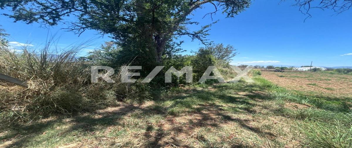 Foto de terreno habitacional en venta en paraje viluache , zimatlan de alvarez centro, zimatlán de álvarez, oaxaca, 0 No. 05