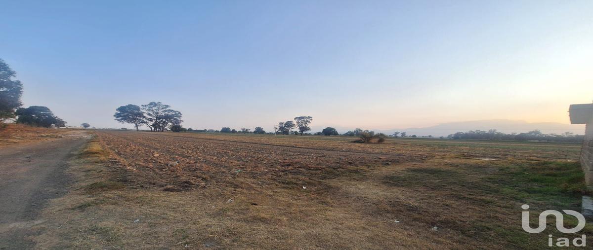 Foto de terreno comercial en renta en parcela 1104 z- n 3/3 , san jerónimo tianguismanalco, san martín texmelucan, puebla, 29841979 No. 05