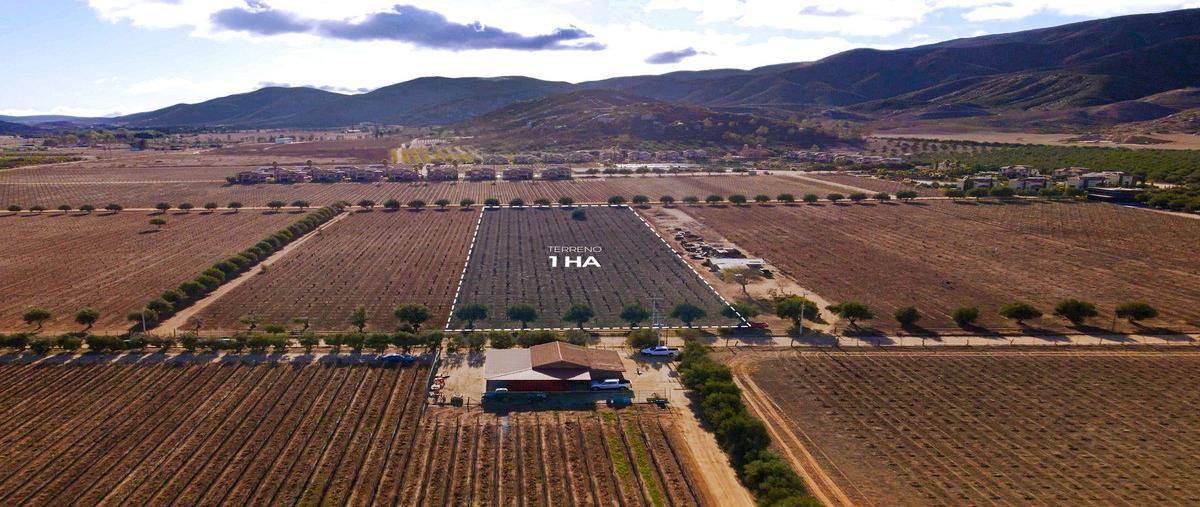 Foto de terreno habitacional en venta en parcela 116 z-1 p1/4 fraccionamiento b-3 , el porvenir, ensenada, baja california, 29316339 No. 05