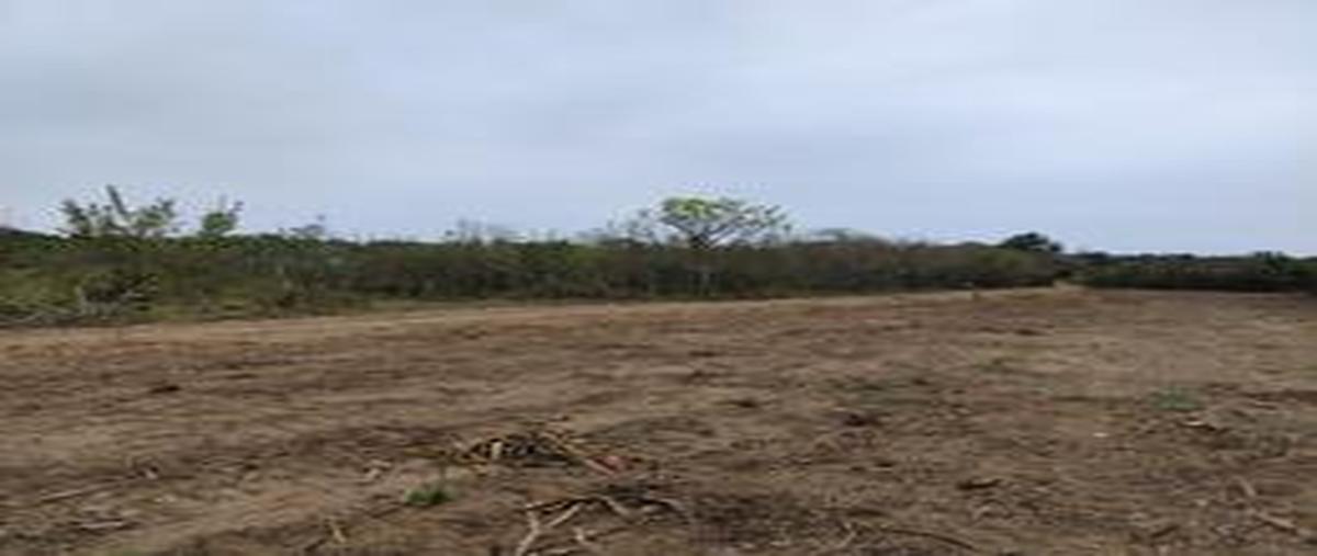 Foto de terreno habitacional en parcela #15 , ciudad cuauhtémoc, pueblo viejo, veracruz de ignacio de la llave, 29785086 foto 05 Foto de terreno habitacional en venta en parcela #15 , ciudad cuauhtémoc, pueblo viejo, veracruz de ignacio de la llave, 29785086 No. 05