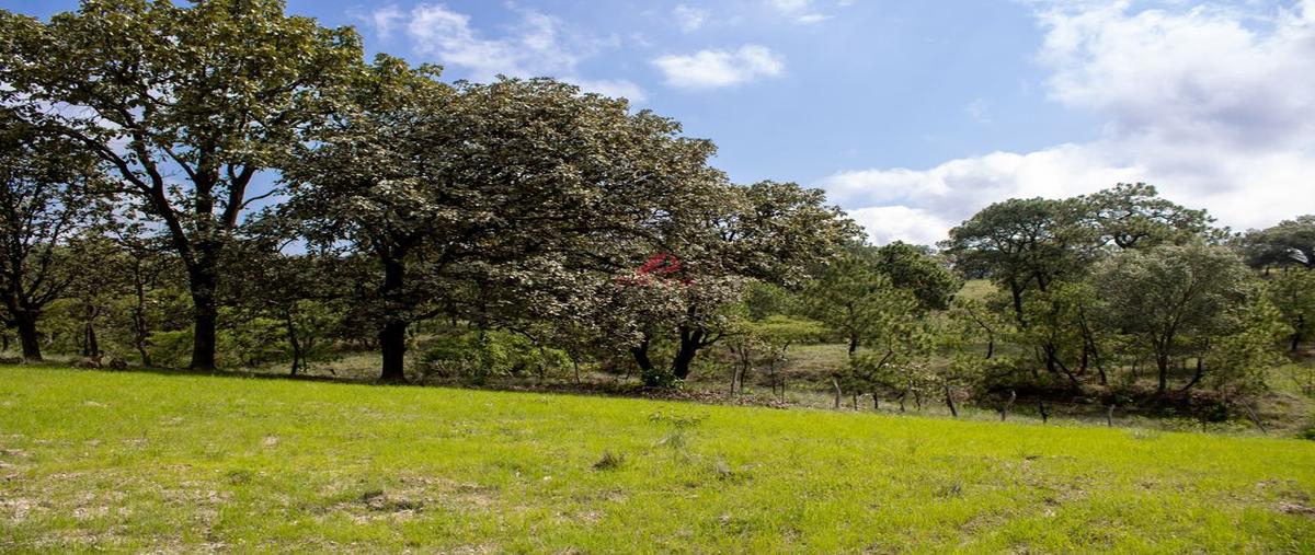 Foto de terreno habitacional en venta en parcela 16125, emiliano zapata, el arenal, jalisco, 0 No. 03