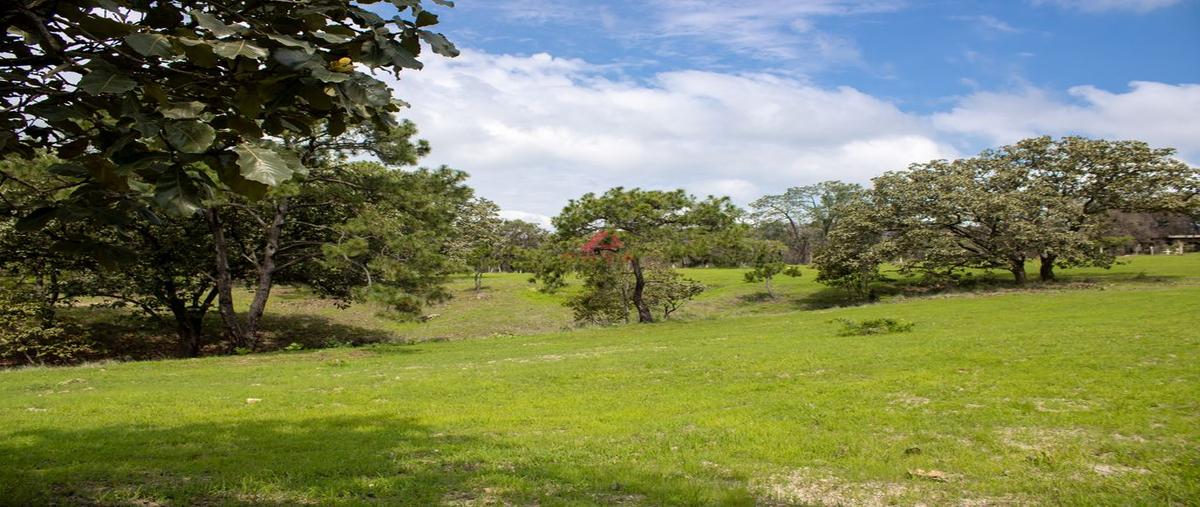 Foto de terreno habitacional en venta en parcela 16125, emiliano zapata, el arenal, jalisco, 0 No. 04