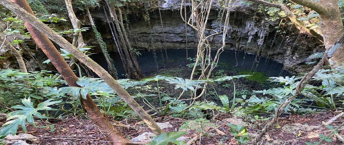 Foto de terreno habitacional en parcela 188 ejido de yalcoba , valladolid centro, valladolid, yucatán, 0 foto 01 Foto de terreno habitacional en venta en parcela 188 ejido de yalcoba , valladolid centro, valladolid, yucatán, 0 No. 01