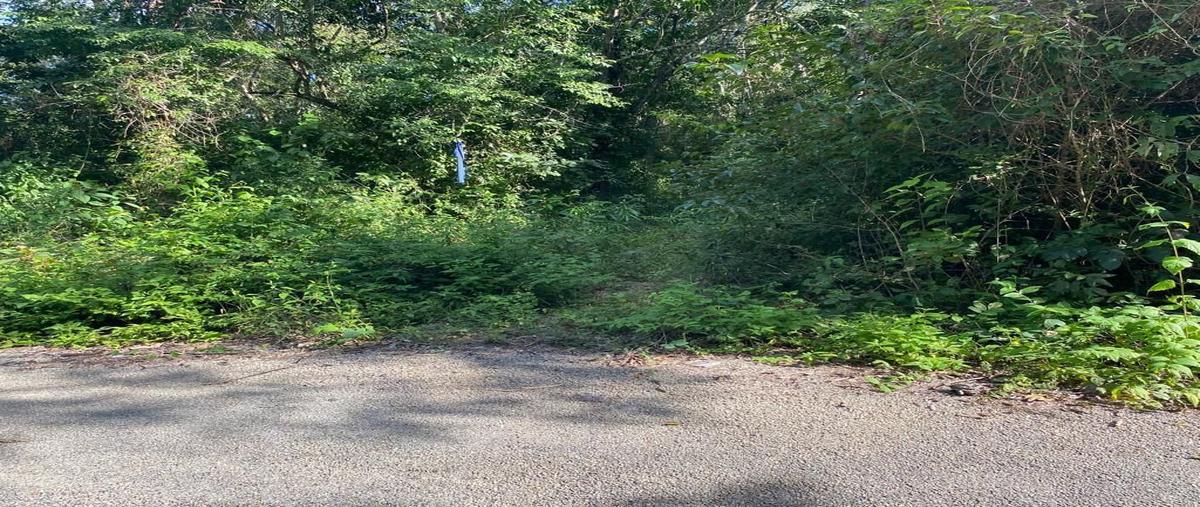 Foto de terreno habitacional en parcela 188 ejido de yalcoba , valladolid centro, valladolid, yucatán, 0 foto 02 Foto de terreno habitacional en venta en parcela 188 ejido de yalcoba , valladolid centro, valladolid, yucatán, 0 No. 02