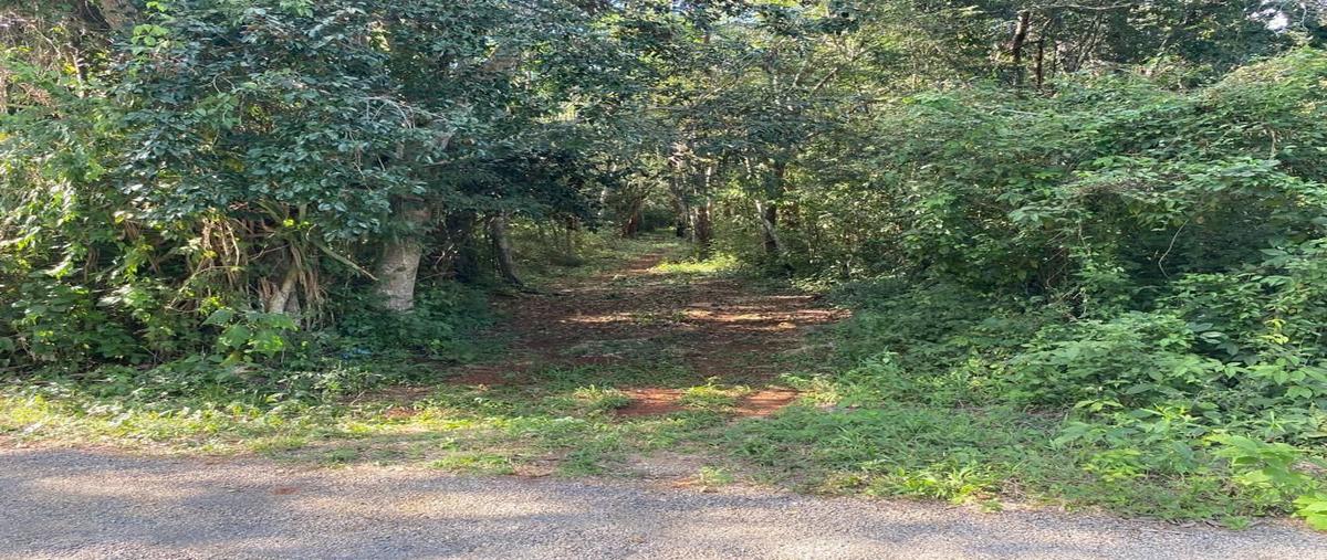 Foto de terreno habitacional en parcela 188 ejido de yalcoba , valladolid centro, valladolid, yucatán, 0 foto 03 Foto de terreno habitacional en venta en parcela 188 ejido de yalcoba , valladolid centro, valladolid, yucatán, 0 No. 03