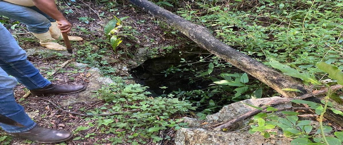 Foto de terreno habitacional en parcela 188 ejido de yalcoba , valladolid centro, valladolid, yucatán, 0 foto 04 Foto de terreno habitacional en venta en parcela 188 ejido de yalcoba , valladolid centro, valladolid, yucatán, 0 No. 04