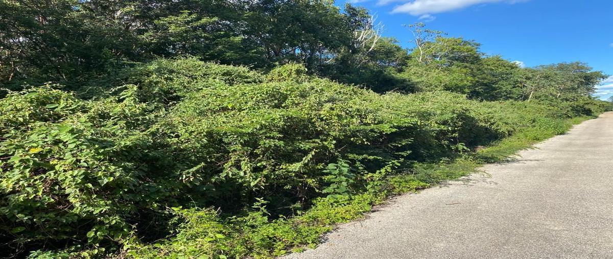 Foto de terreno habitacional en parcela 188 ejido de yalcoba , valladolid centro, valladolid, yucatán, 0 foto 05 Foto de terreno habitacional en venta en parcela 188 ejido de yalcoba , valladolid centro, valladolid, yucatán, 0 No. 05