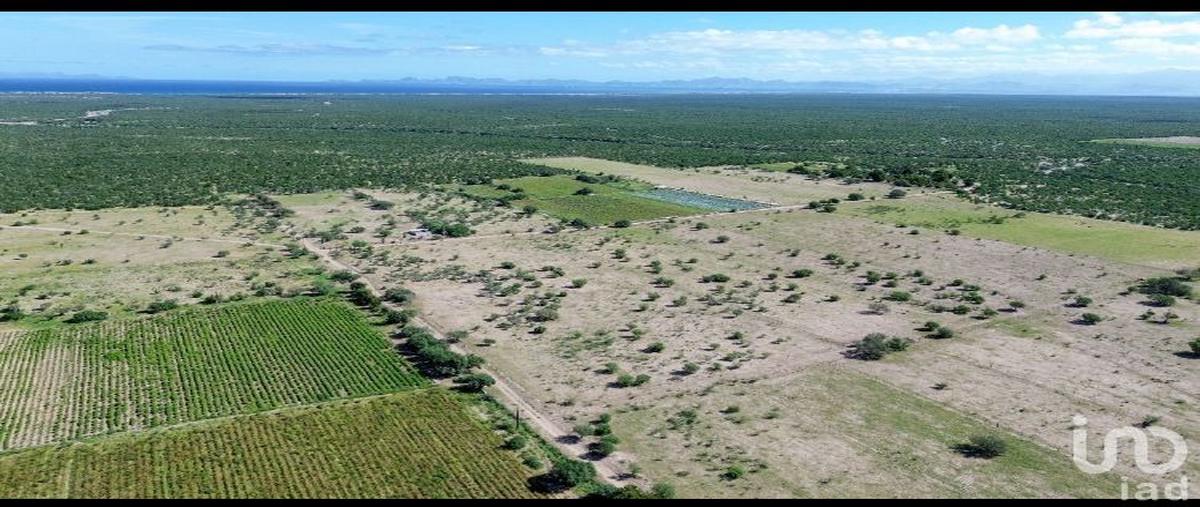 Foto de terreno comercial en venta en parcela 219, alfredo v bonfil, la paz, baja california sur, 30073245 No. 04