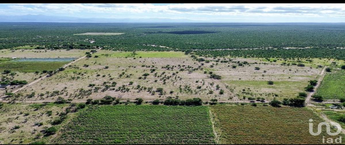 Foto de terreno comercial en venta en parcela 219, alfredo v bonfil, la paz, baja california sur, 30073245 No. 05