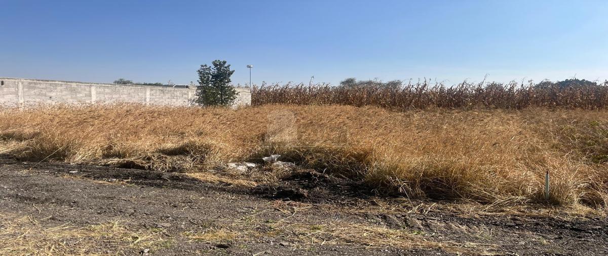 Foto de terreno habitacional en venta en parcela 35z1, p1/2 2, nezahualcóyotl (boyeros), texcoco, méxico, 0 No. 05