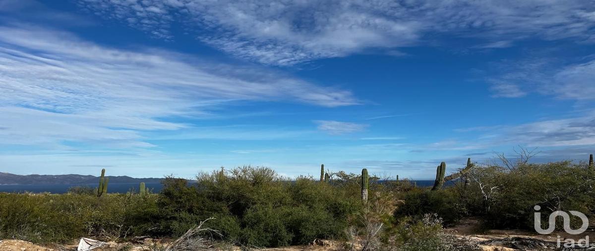 Foto de terreno habitacional en venta en parcela 37 75, el sargento, la paz, baja california sur, 30796620 No. 05