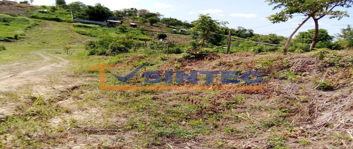 Foto de terreno habitacional en venta en  , parcela 44, poza rica de hidalgo, veracruz de ignacio de la llave, 0 No. 03