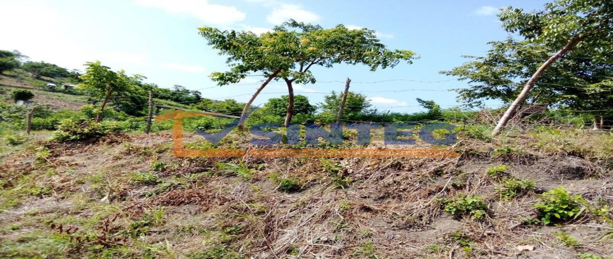 Foto de terreno habitacional en venta en  , parcela 44, poza rica de hidalgo, veracruz de ignacio de la llave, 0 No. 05