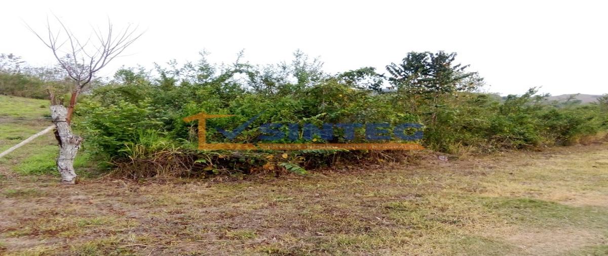 Foto de terreno habitacional en venta en  , parcela 44, poza rica de hidalgo, veracruz de ignacio de la llave, 30132219 No. 03