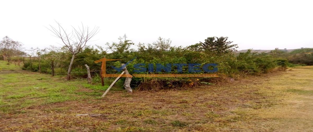 Foto de terreno habitacional en venta en  , parcela 44, poza rica de hidalgo, veracruz de ignacio de la llave, 30132219 No. 04