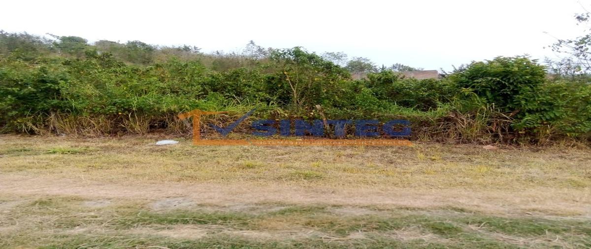 Foto de terreno habitacional en venta en  , parcela 44, poza rica de hidalgo, veracruz de ignacio de la llave, 30132219 No. 05