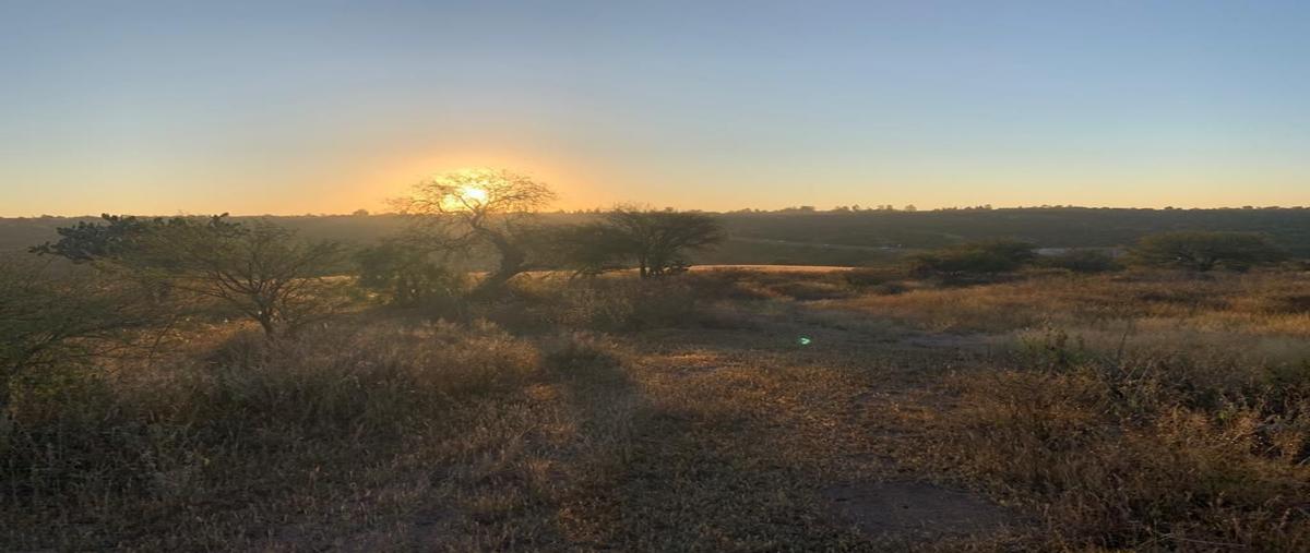 Foto de terreno habitacional en venta en parcela 46 , el retoño, el llano, aguascalientes, 30050585 No. 03