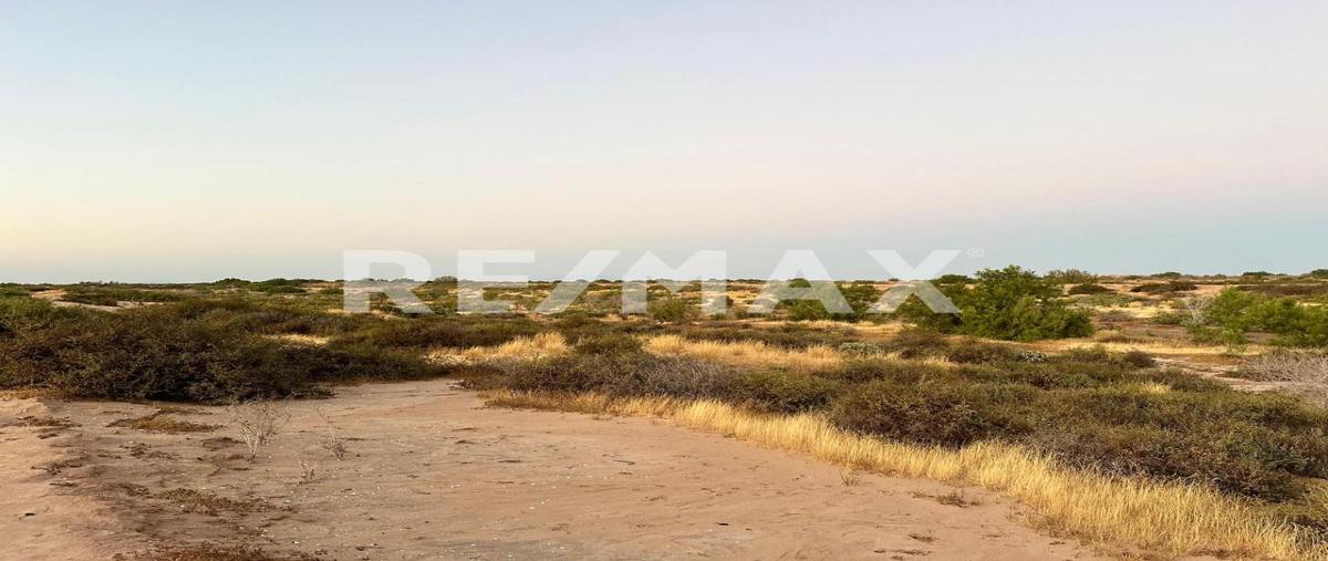 Foto de terreno industrial en venta en parcela 718 , agiabampo 1, huatabampo, sonora, 0 No. 05