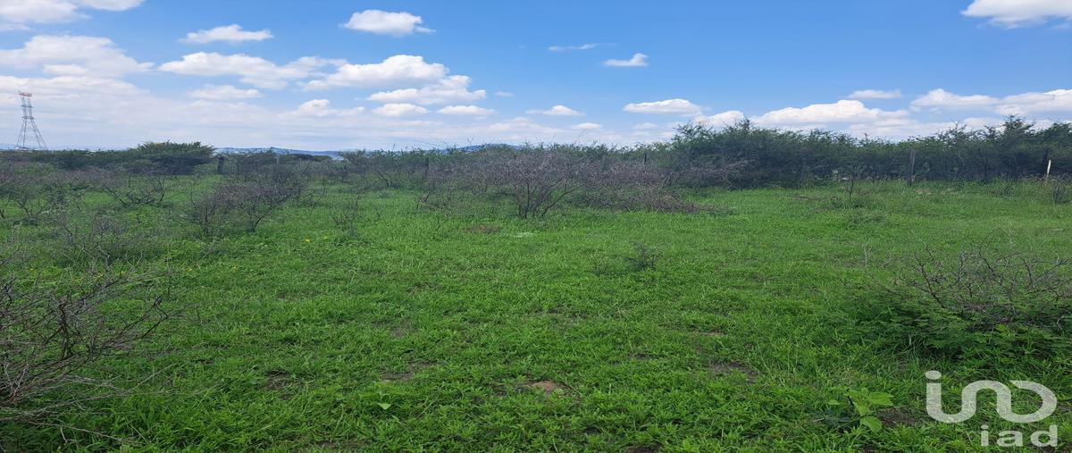Foto de terreno comercial en venta en parcela 87 , el vegil, huimilpan, querétaro, 28721555 No. 04