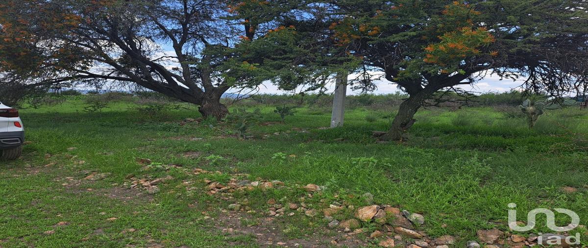 Foto de terreno comercial en venta en parcela 87 , el vegil, huimilpan, querétaro, 28721555 No. 05