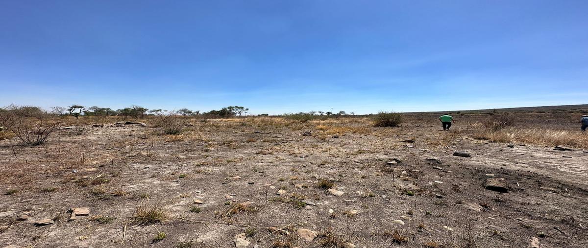 Foto de terreno industrial en venta en parcela 95 z-1 p-5/5 , valtierrilla, salamanca, guanajuato, 27220676 No. 04