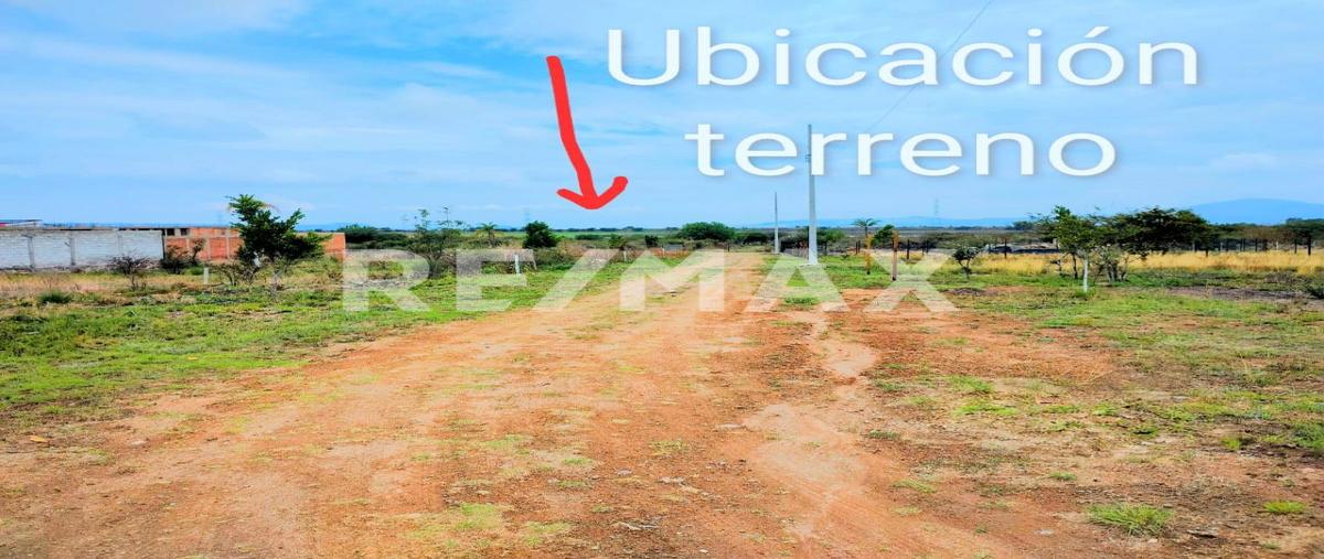 Foto de terreno habitacional en parcela , apapátaro, huimilpan, querétaro, 0 foto 05 Foto de terreno habitacional en venta en parcela , apapátaro, huimilpan, querétaro, 0 No. 05