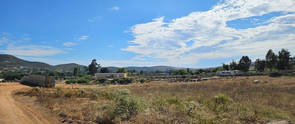 Foto de terreno habitacional en venta en parcela d , san antonio de las minas, ensenada, baja california, 28841797 No. 03