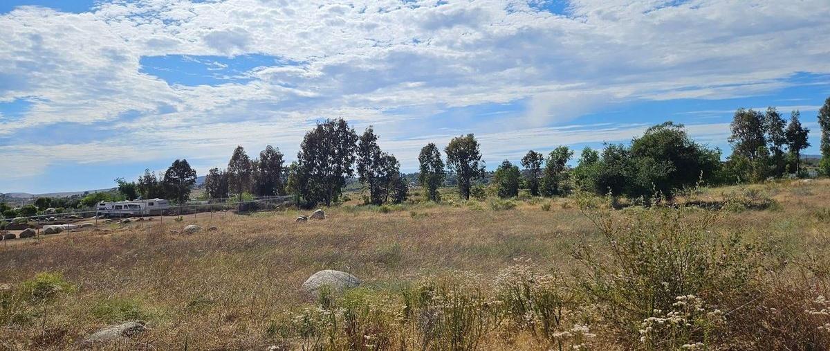 Foto de terreno habitacional en venta en parcela d , san antonio de las minas, ensenada, baja california, 28841797 No. 04