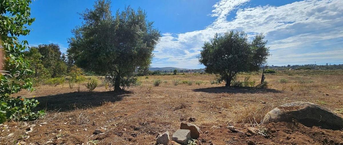 Foto de terreno habitacional en venta en parcela d , san antonio de las minas, ensenada, baja california, 28841797 No. 05