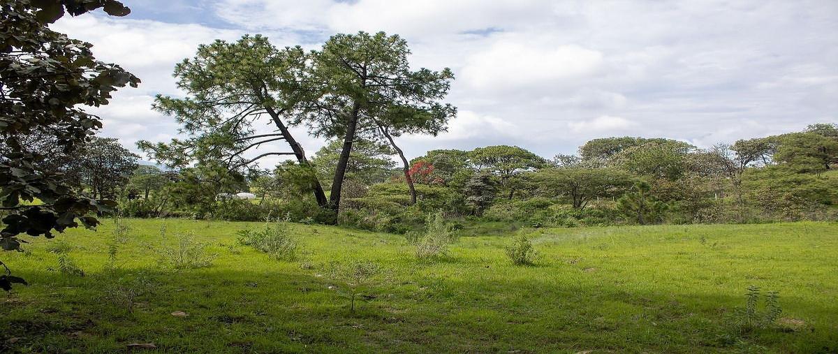 Foto de terreno habitacional en venta en parcela , el arenal, el arenal, jalisco, 0 No. 03