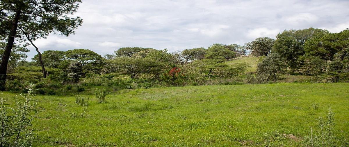 Foto de terreno habitacional en venta en parcela , el arenal, el arenal, jalisco, 30835791 No. 04